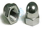 duplex 2205 acorn cap nut