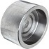 Socket Weld Cap